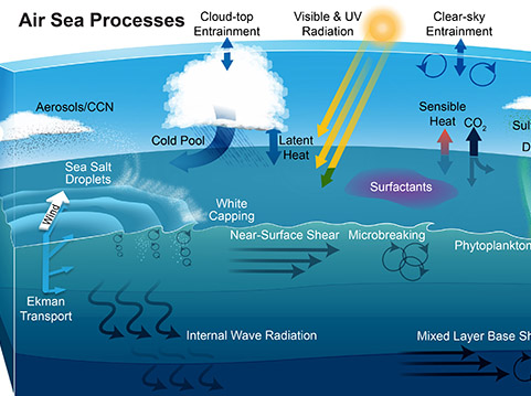 Air Sea interaction and atmospheric circulation